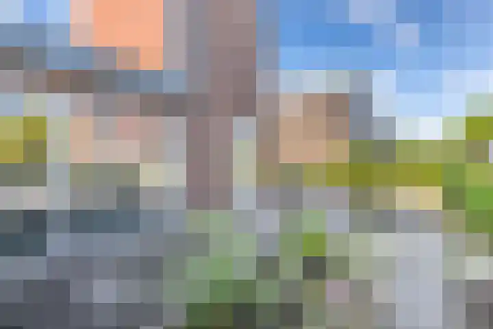 Frieswijkstraat 22 Sneek thumbnail 7
