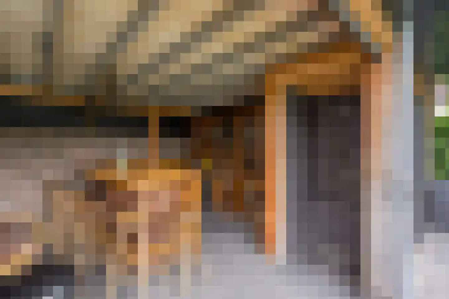Frieswijkstraat 36 Nijkerk thumbnail 37
