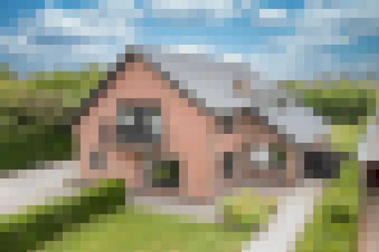 Frieswijkstraat 36 Nijkerk thumbnail 41
