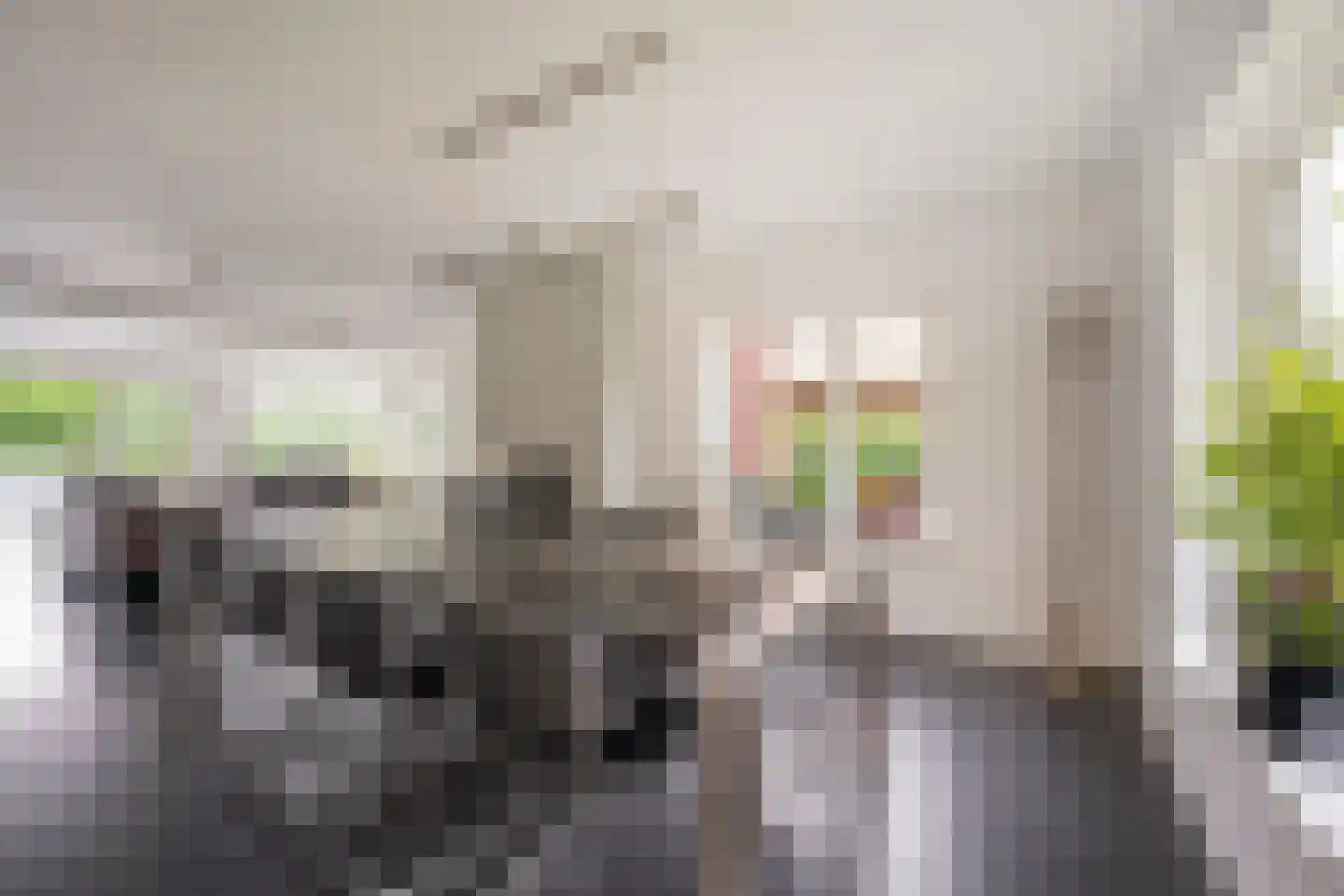 Frieswijkstraat 36 Nijkerk thumbnail 9