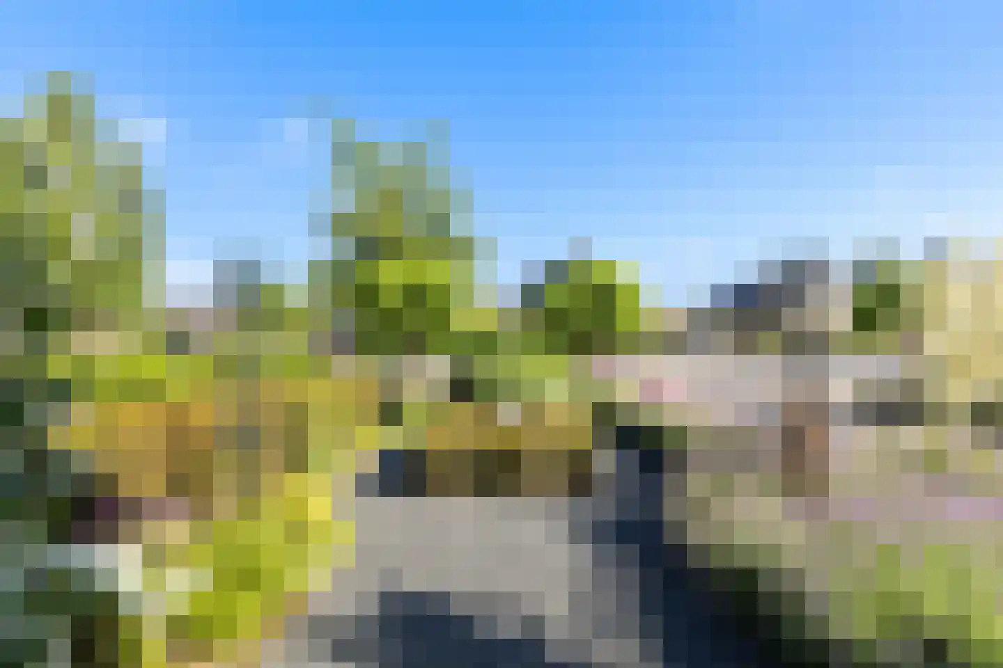 Frieswijkstraat 46 Nijkerk thumbnail 8