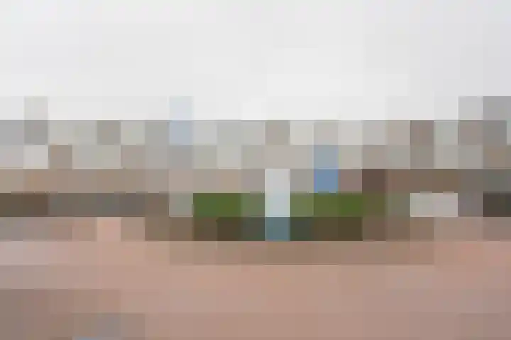 Frieswijkstraat 81 Nijkerk thumbnail 29