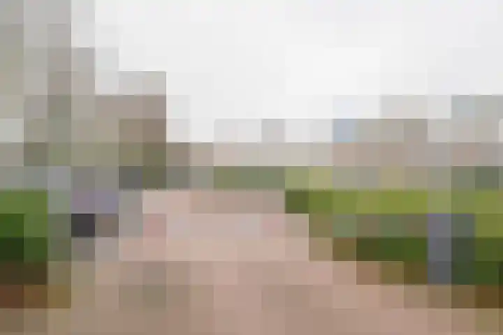 Frieswijkstraat 81 Nijkerk thumbnail 31