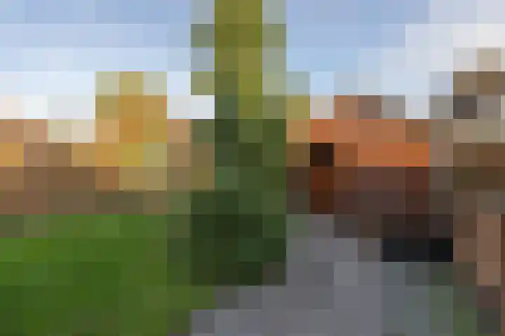Friezenburg 10 Bolsward thumbnail 26