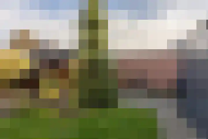 Friezenburg 10 Bolsward thumbnail 28