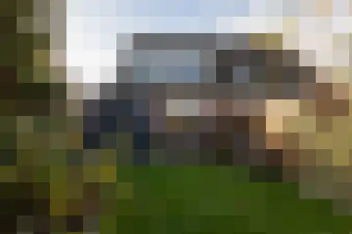 Friezenburg 10 Bolsward thumbnail 31