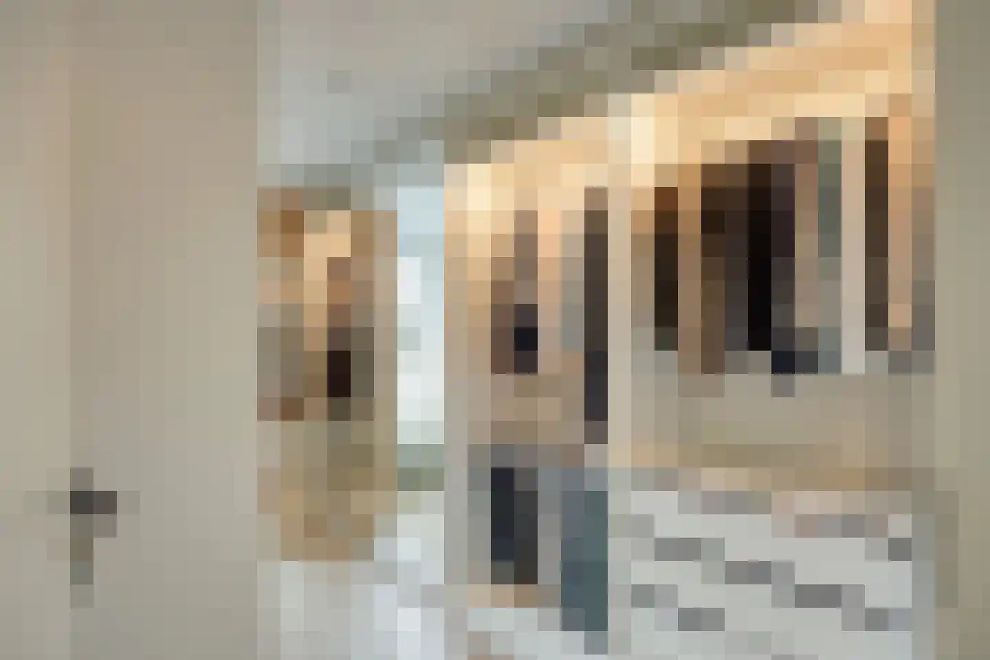 Friezengaarde 2 Alphen aan den Rijn thumbnail 32