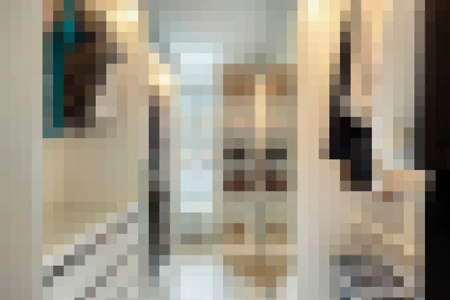 Friezengaarde 2 Alphen aan den Rijn thumbnail 33