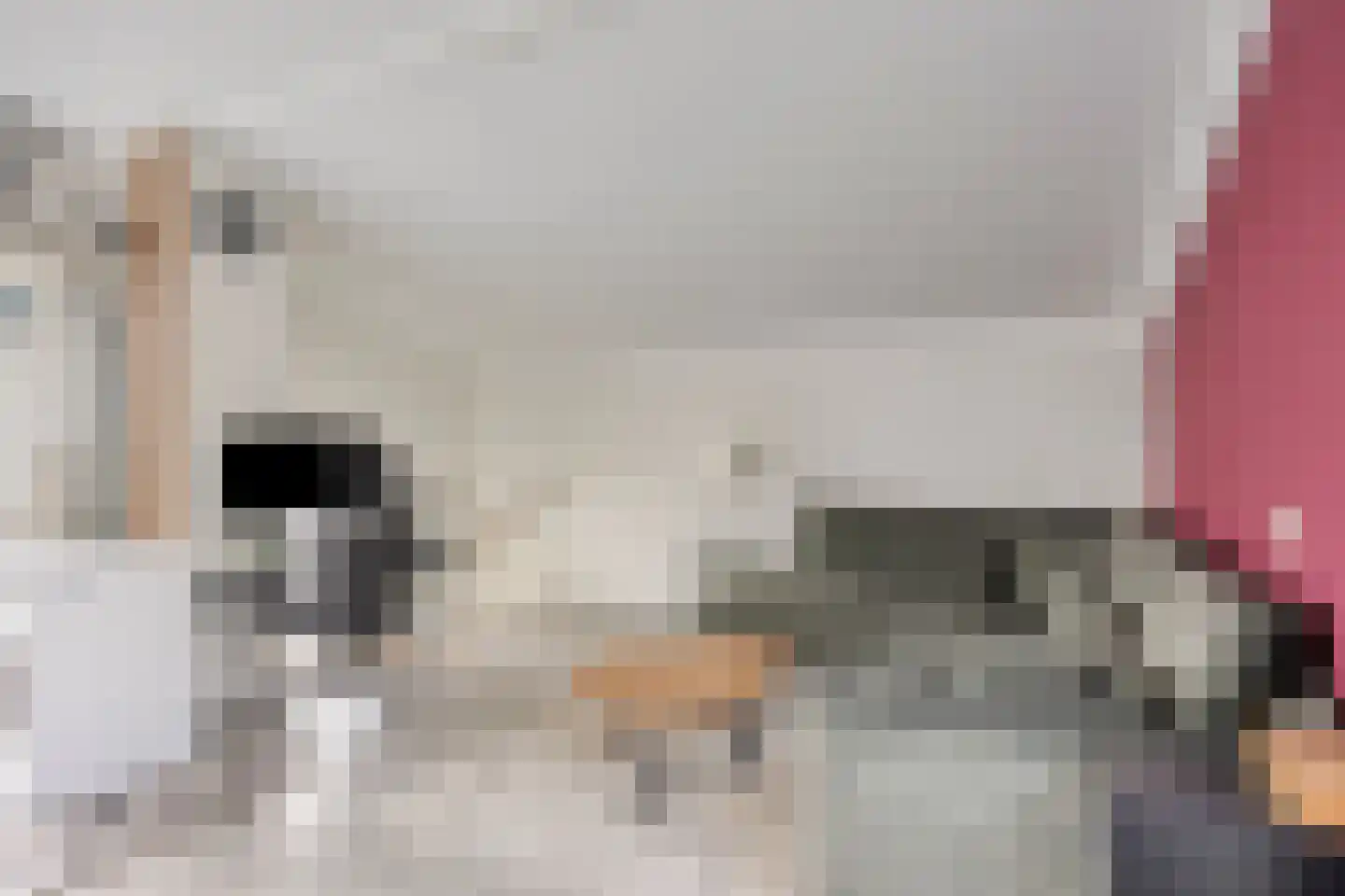 Friezengaarde 2 Alphen aan den Rijn thumbnail 41