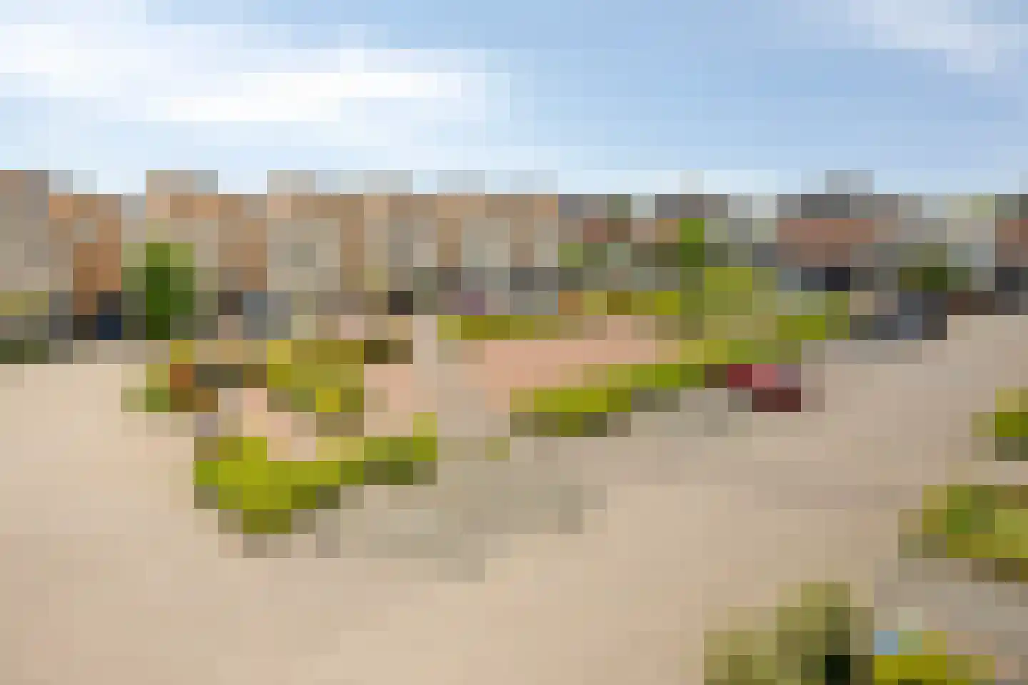 Friezengaarde 2 Alphen aan den Rijn thumbnail 57