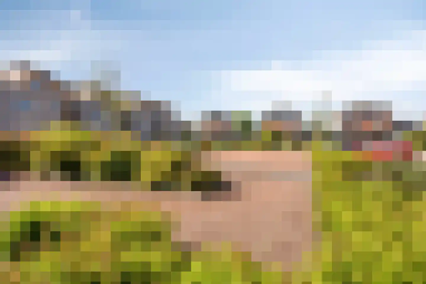 Friezengaarde 2 Alphen aan den Rijn thumbnail 58