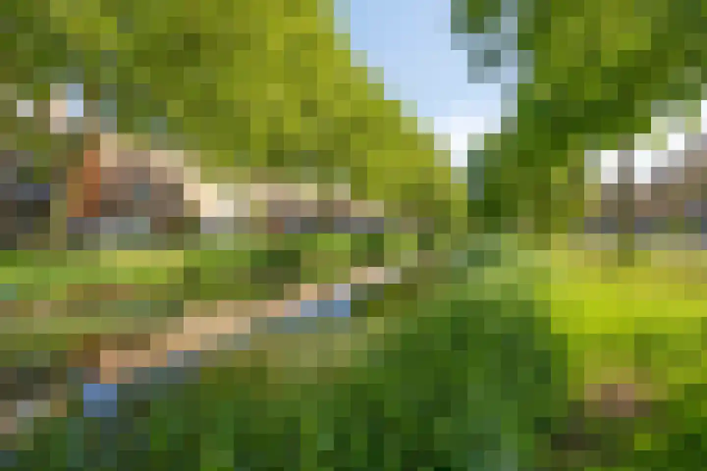 Friezengaarde 2 Alphen aan den Rijn thumbnail 64