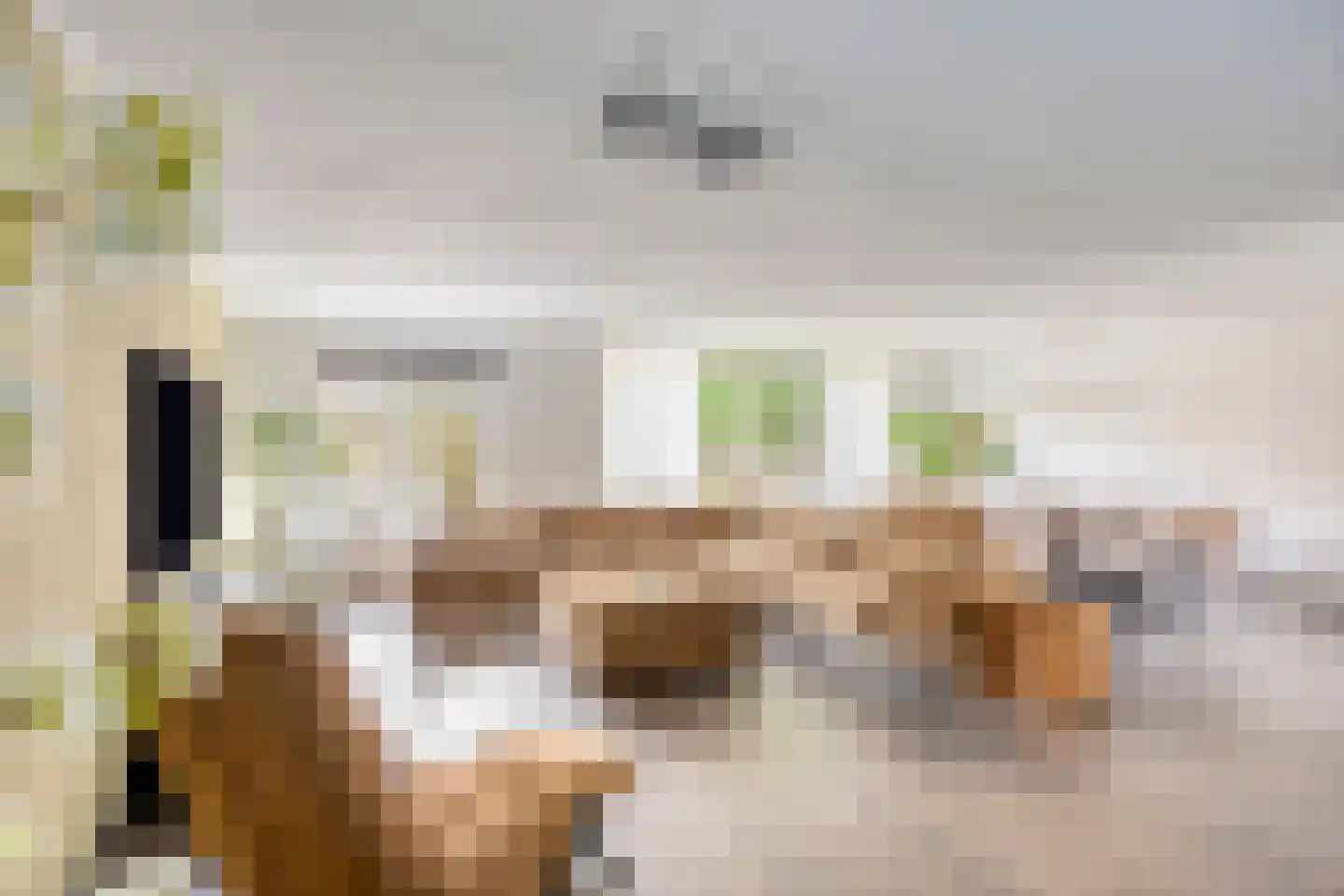 Friezengaarde 2 Alphen aan den Rijn thumbnail 9