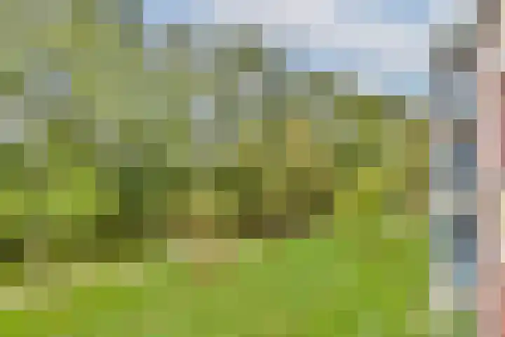 Friezenhorst 23 b Sassenheim thumbnail 16
