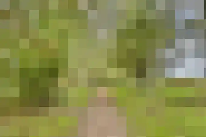 Friezenhorst 23 b Sassenheim thumbnail 22
