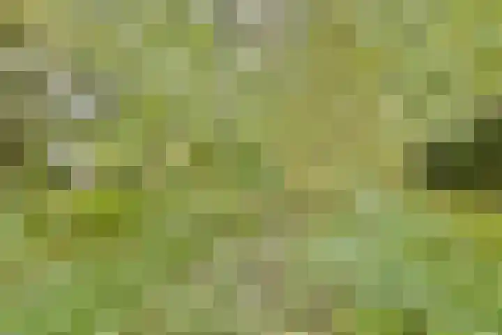 Friezenhorst 23 b Sassenheim thumbnail 23