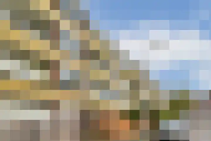 Friezenhorst 23 b Sassenheim thumbnail 24