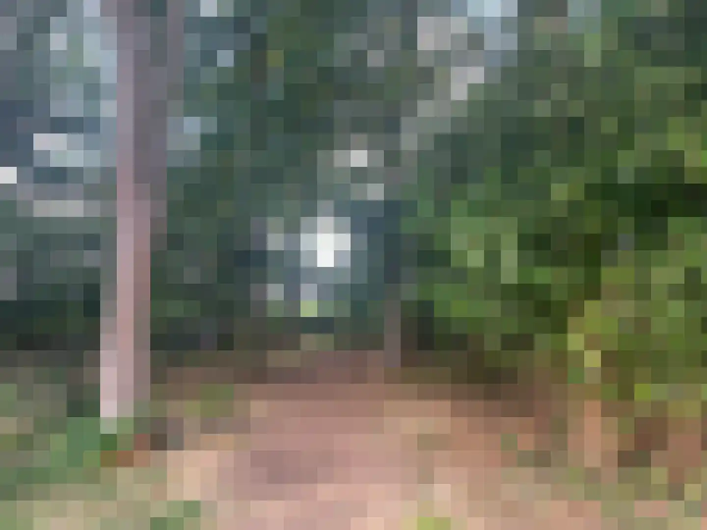 Friezenhorst 25 b Sassenheim thumbnail 25