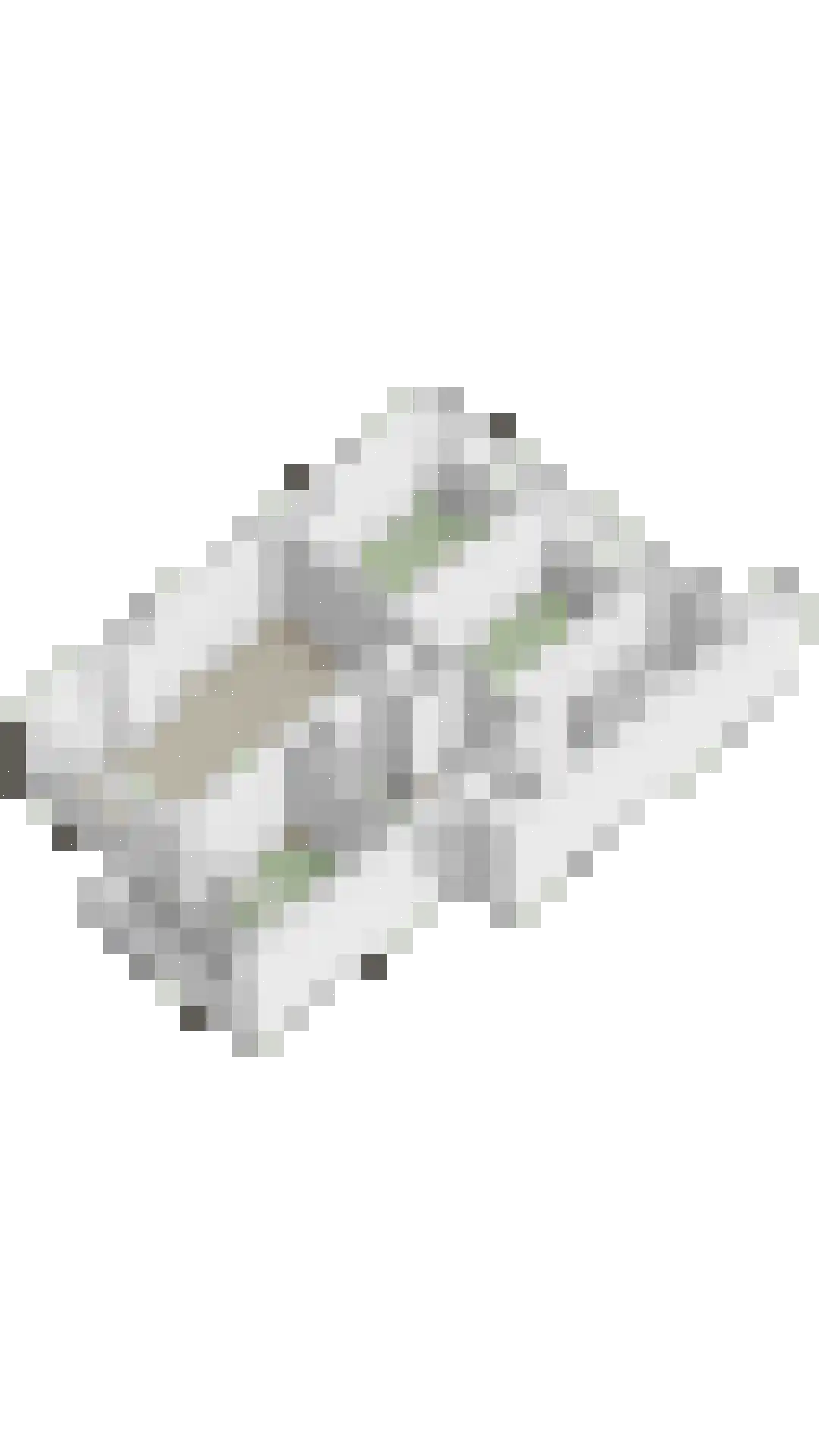 Friezenhorst 25 b Sassenheim thumbnail 30