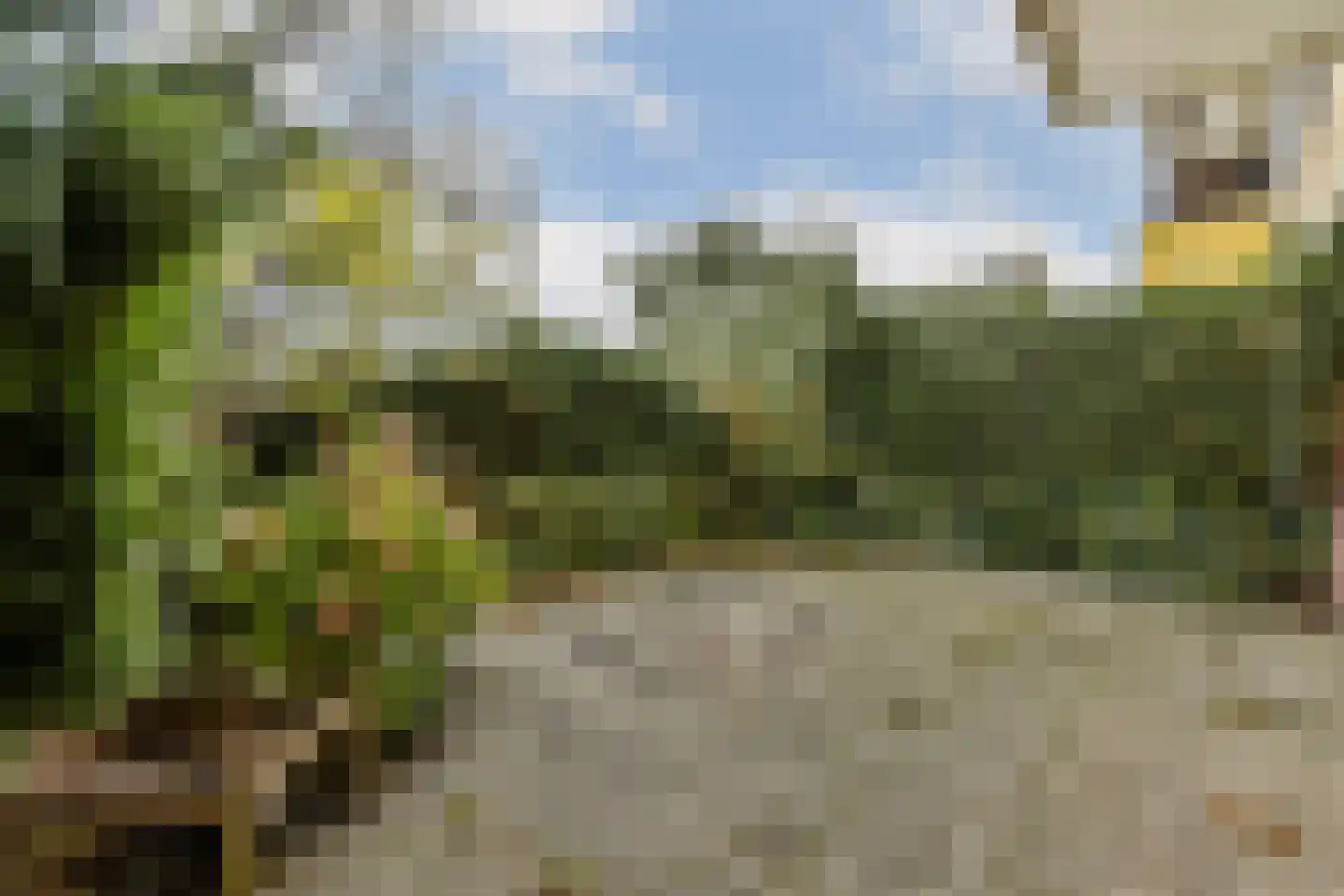 Friezenhorst 25 Sassenheim thumbnail 13