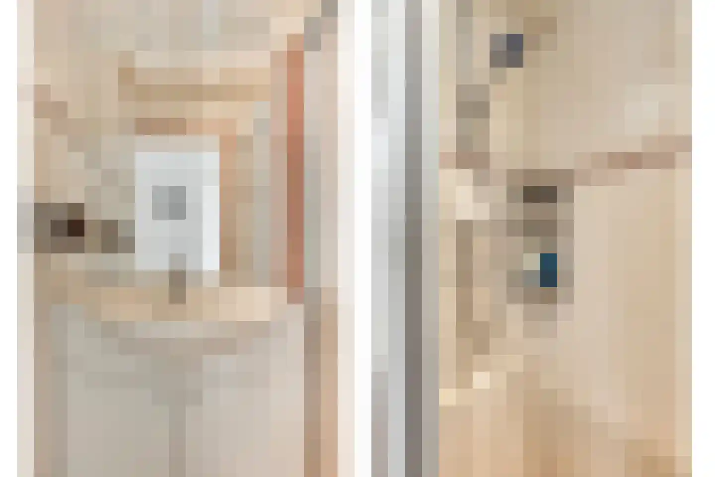 Friezenhorst 27 c Sassenheim thumbnail 20