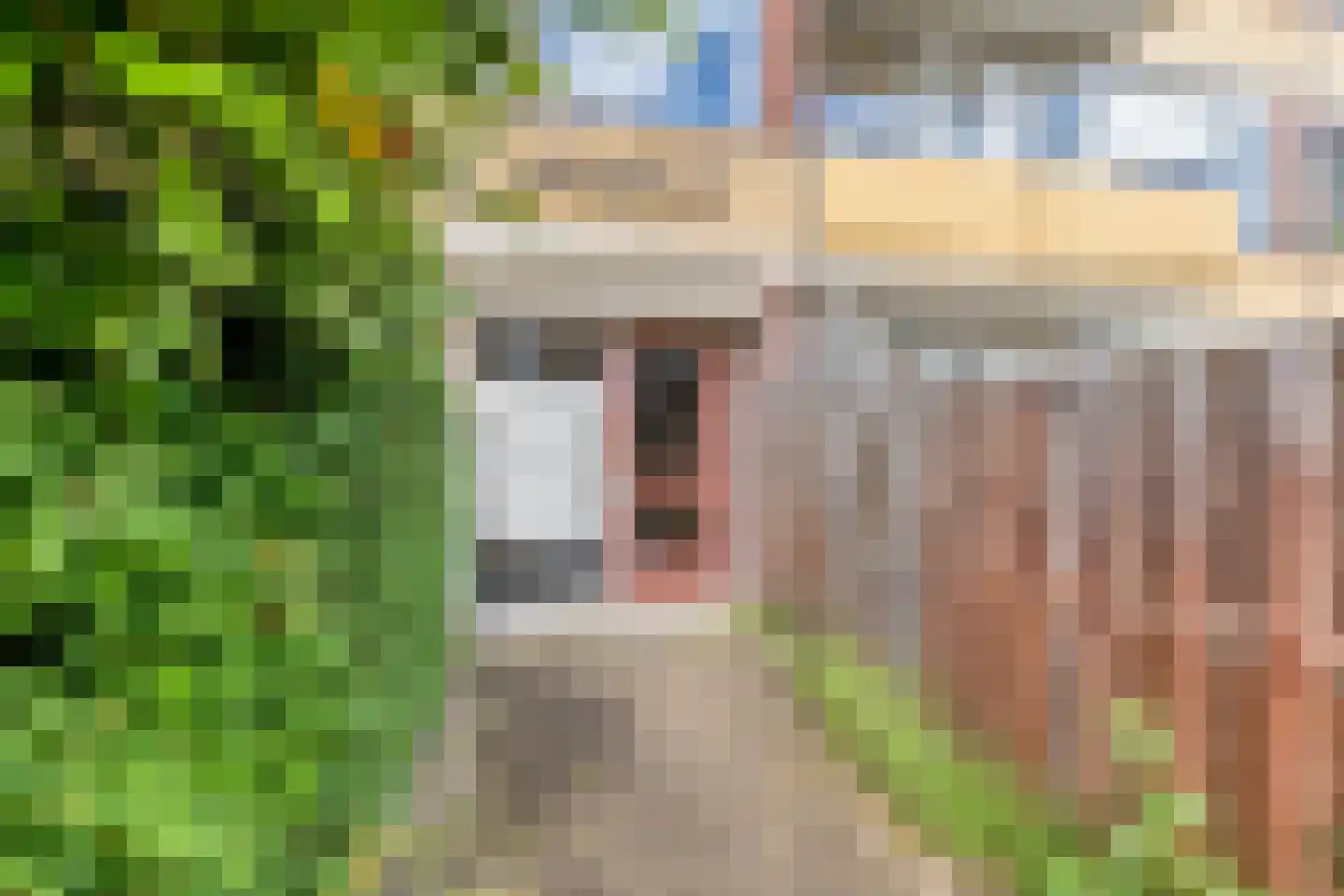 Friezenhorst 27 c Sassenheim thumbnail 24