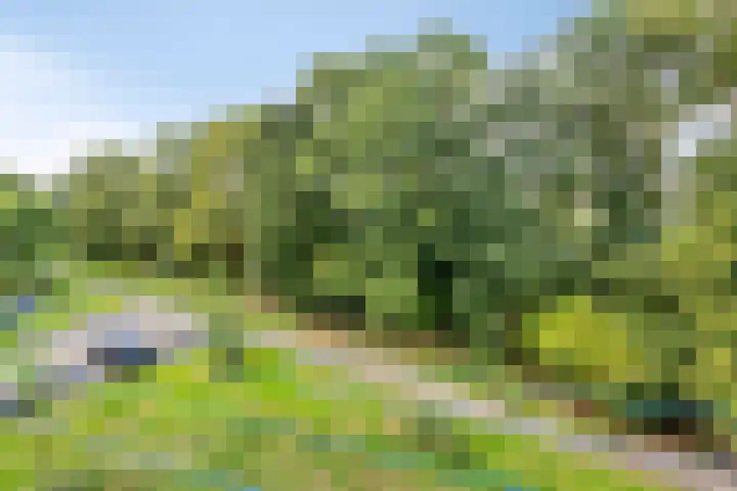 Friezenhorst 27 c Sassenheim thumbnail 26