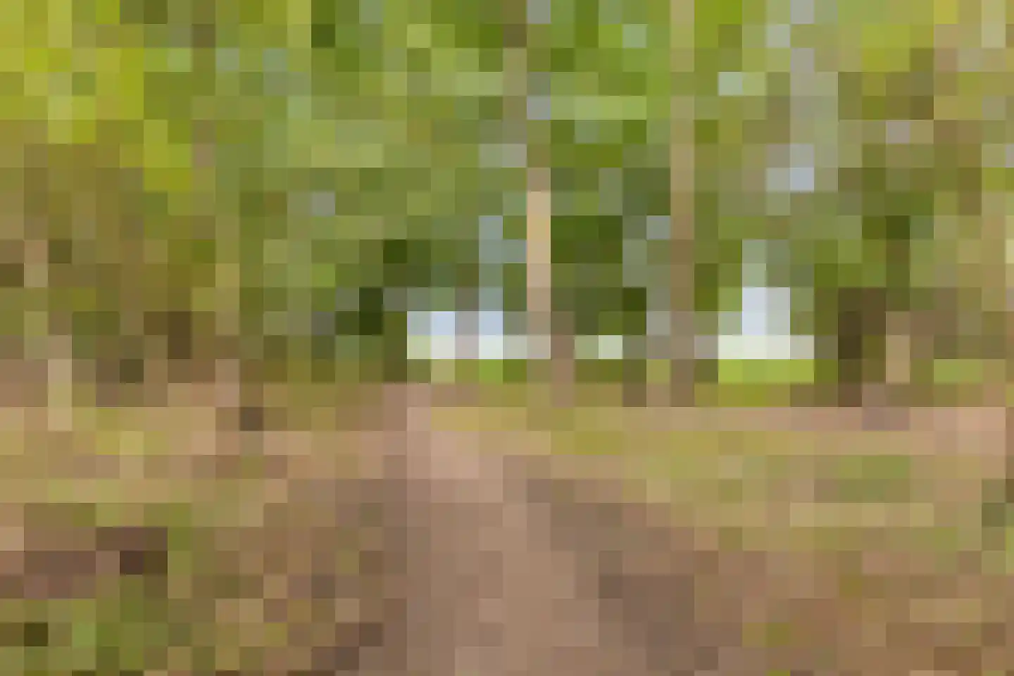 Friezenhorst 27 c Sassenheim thumbnail 27