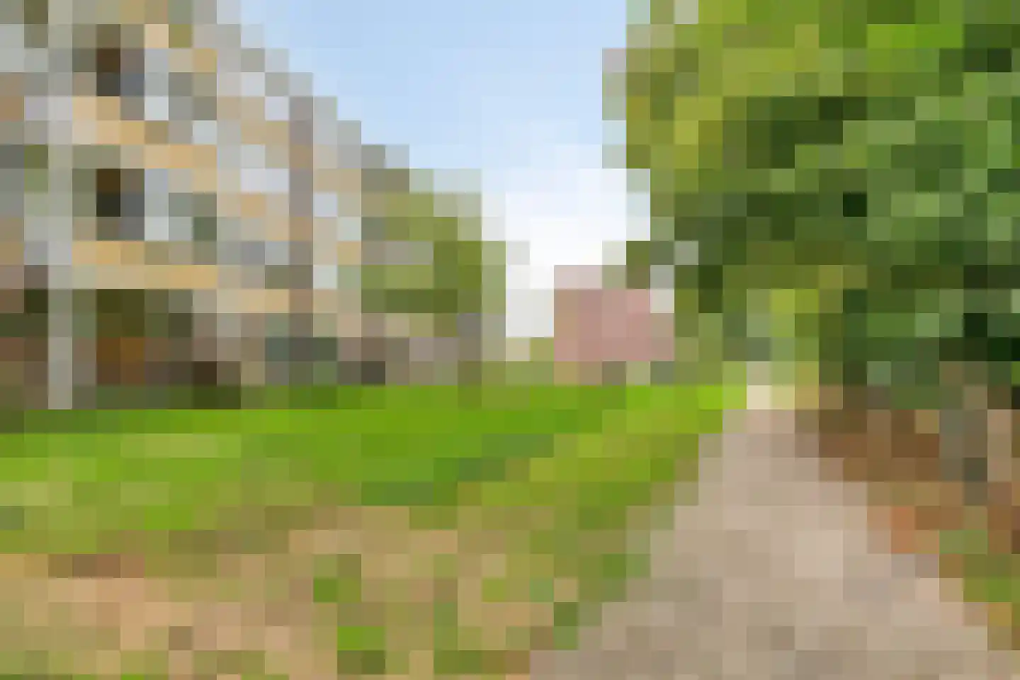 Friezenhorst 27 c Sassenheim thumbnail 30