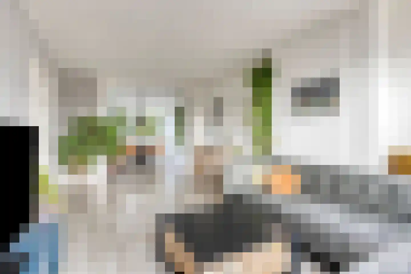Friezenhorst 27 c Sassenheim thumbnail 7