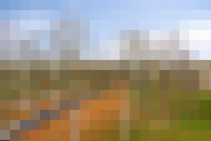 Friezenlaan 128 Tilburg thumbnail 11