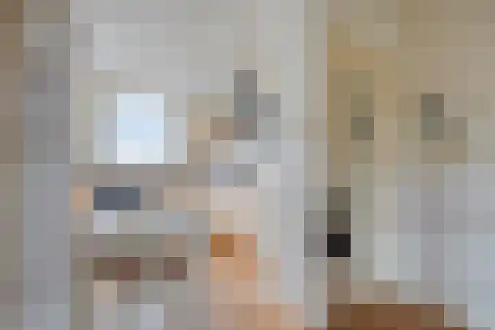Friezenlaan 128 Tilburg thumbnail 18