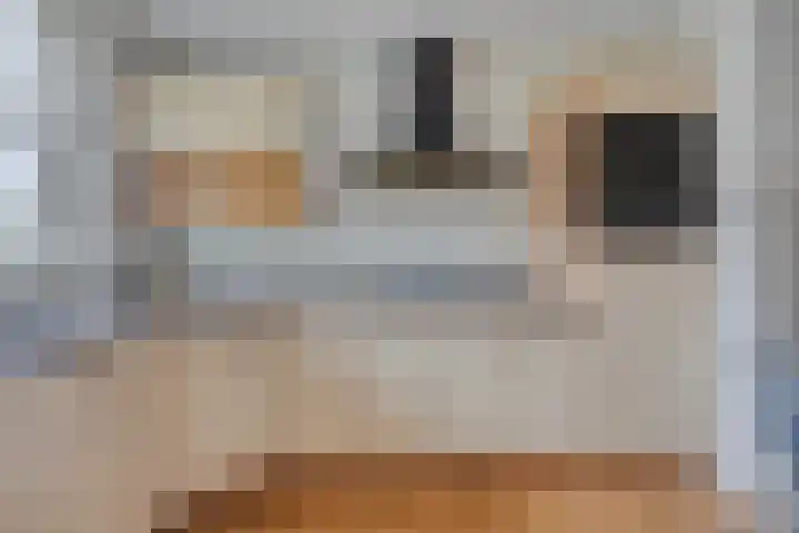 Friezenlaan 128 Tilburg thumbnail 20
