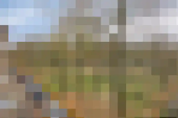 Friezenlaan 128 Tilburg thumbnail 25