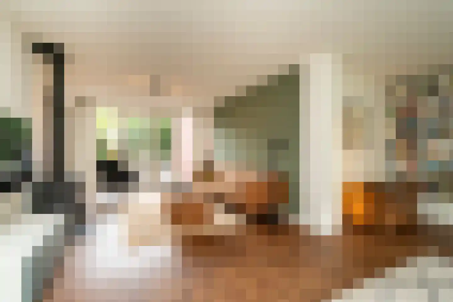 Friezenlaan 13 Tilburg thumbnail 12
