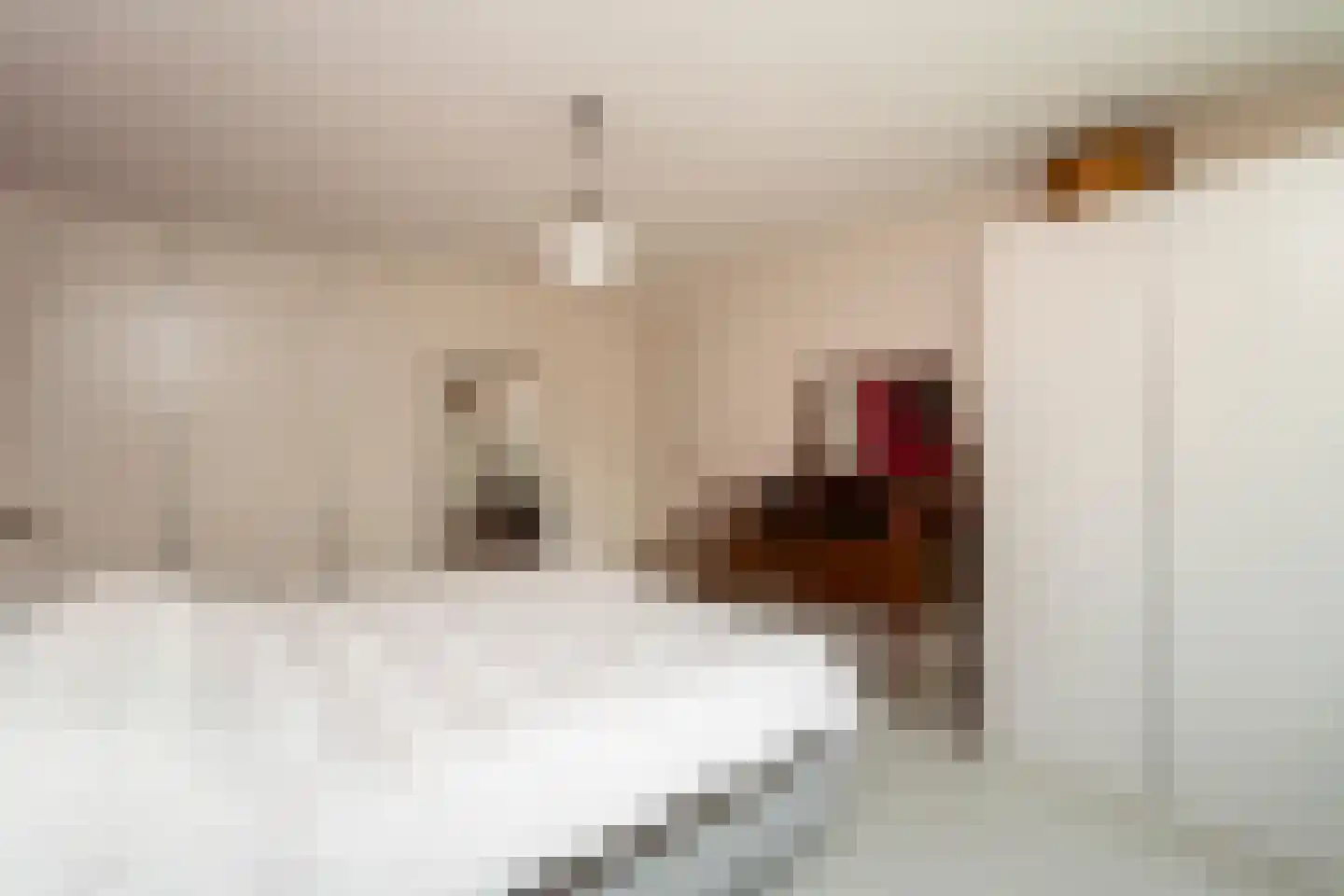 Friezenlaan 13 Tilburg thumbnail 25