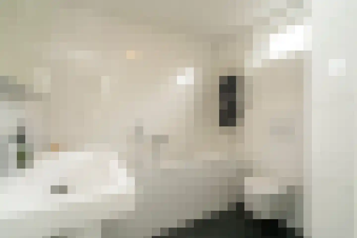 Friezenlaan 13 Tilburg thumbnail 28