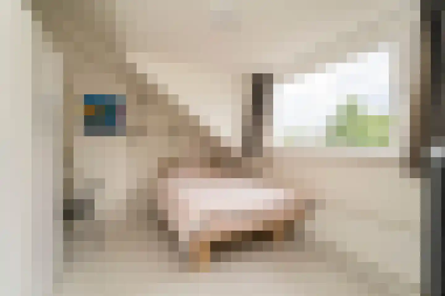 Friezenlaan 13 Tilburg thumbnail 31