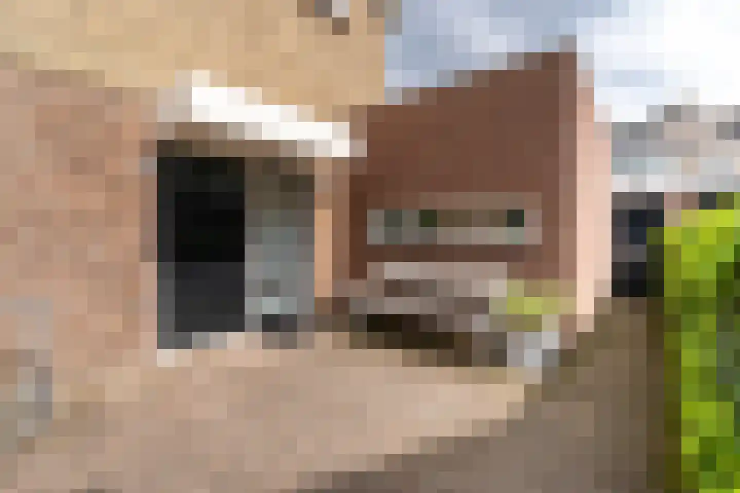 Friezenlaan 13 Tilburg thumbnail 7