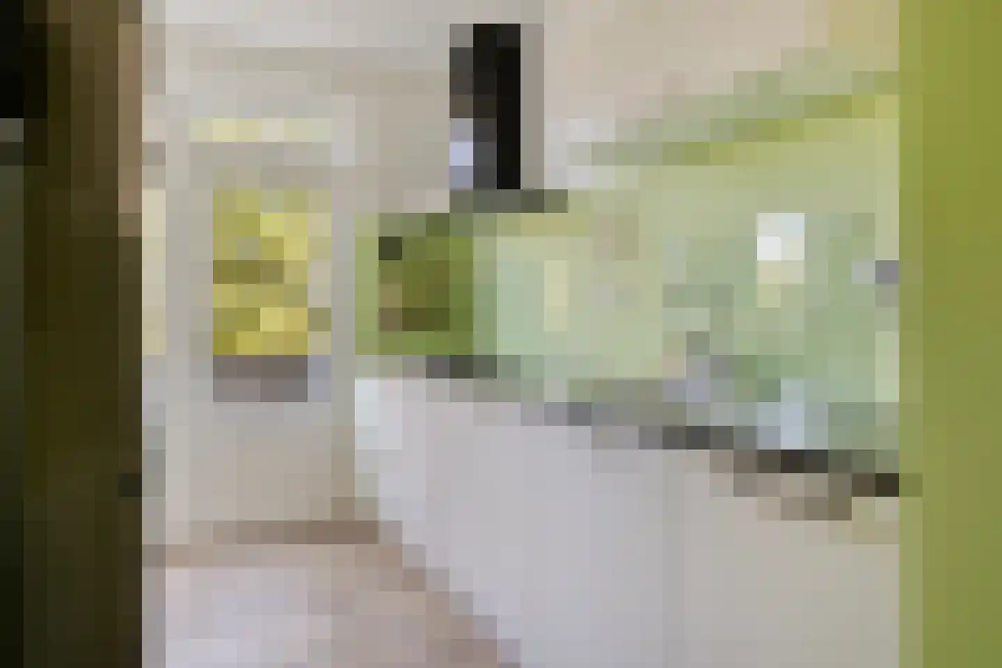 Friezenlaan 150 Tilburg thumbnail 10