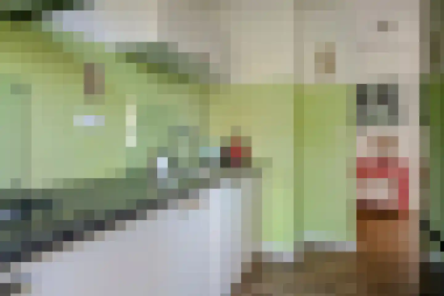 Friezenlaan 150 Tilburg thumbnail 11