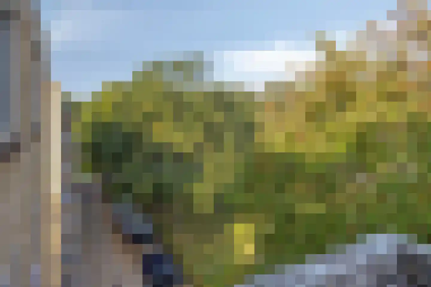 Friezenlaan 150 Tilburg thumbnail 13