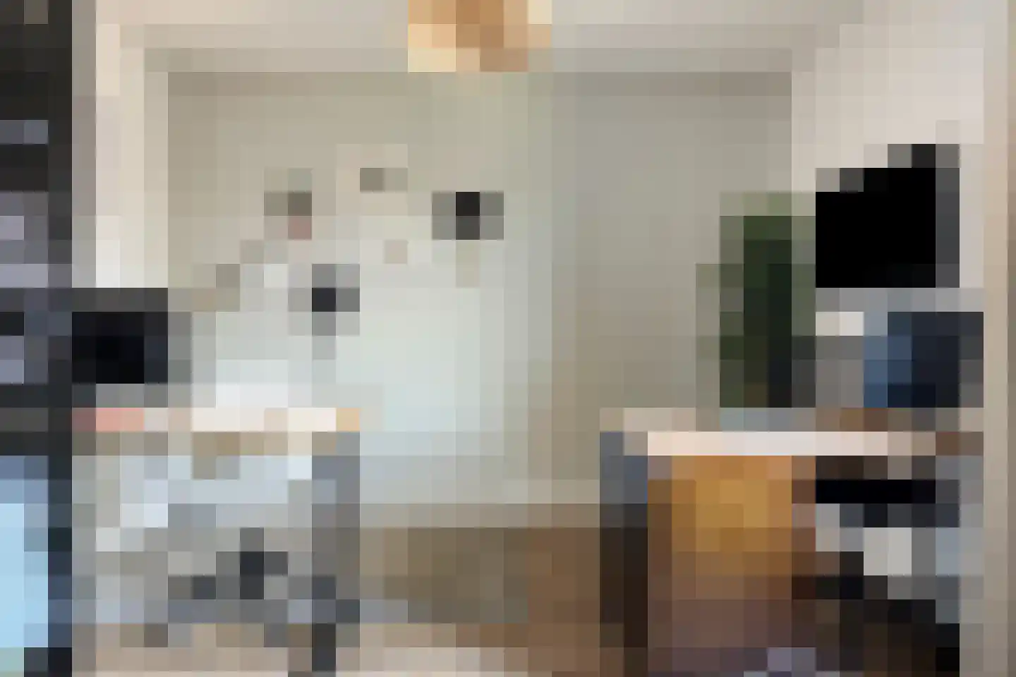 Friezenlaan 150 Tilburg thumbnail 18