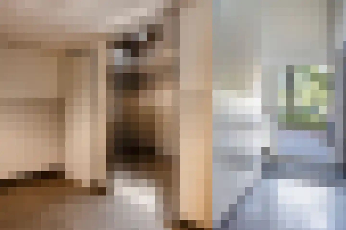 Friezenlaan 150 Tilburg thumbnail 24