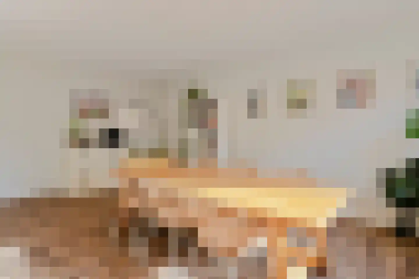 Friezenlaan 150 Tilburg thumbnail 7