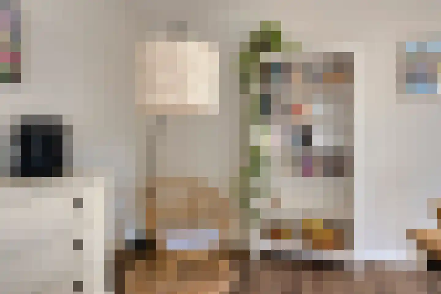 Friezenlaan 150 Tilburg thumbnail 8