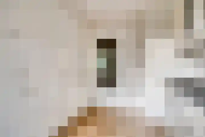 Friezenlaan 170 Tilburg thumbnail 11