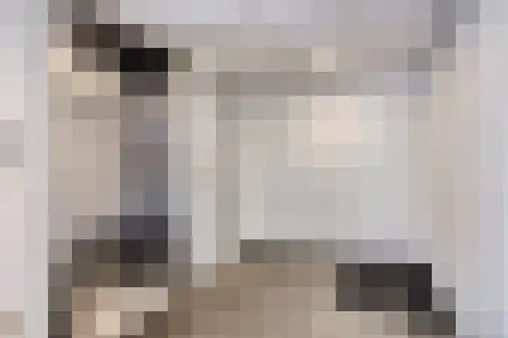 Friezenlaan 170 Tilburg thumbnail 26