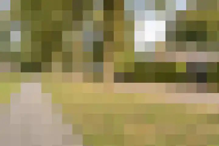 Friezenlaan 170 Tilburg thumbnail 28