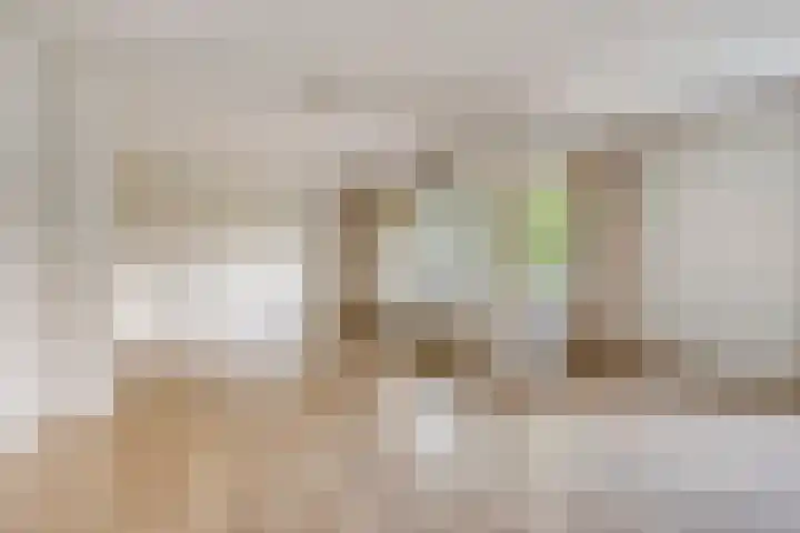 Friezenlaan 170 Tilburg thumbnail 5